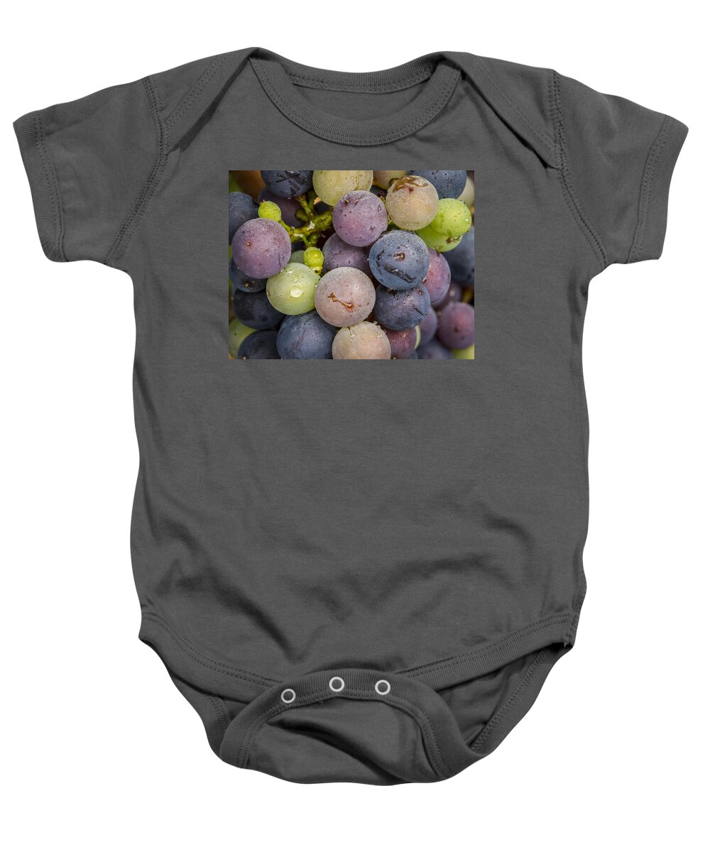 Grape Baby Onesie featuring the photograph Variation by Jean Noren