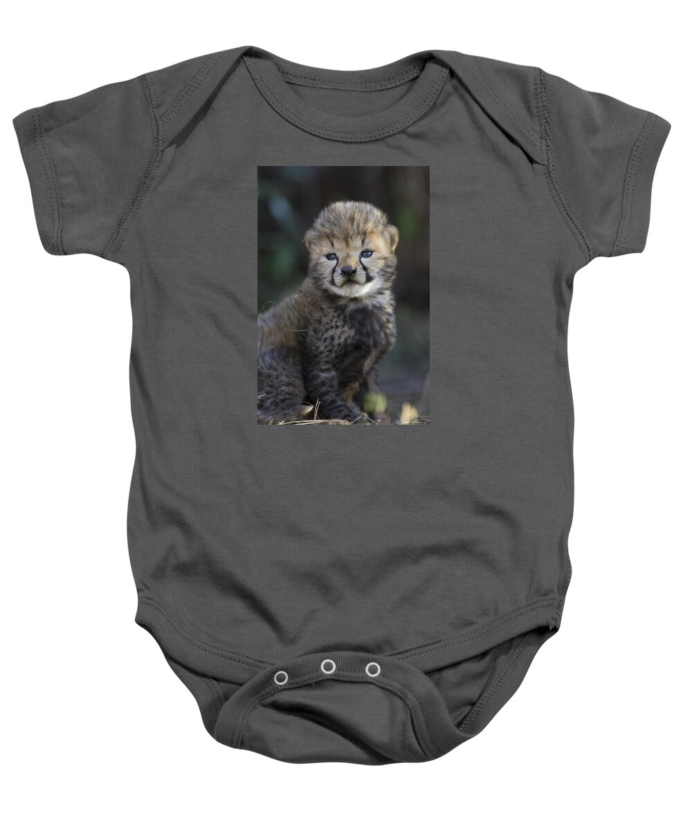 Suzi Eszterhas Baby Onesie featuring the photograph Very Young Cheetah Cub Maasai Mara by Suzi Eszterhas