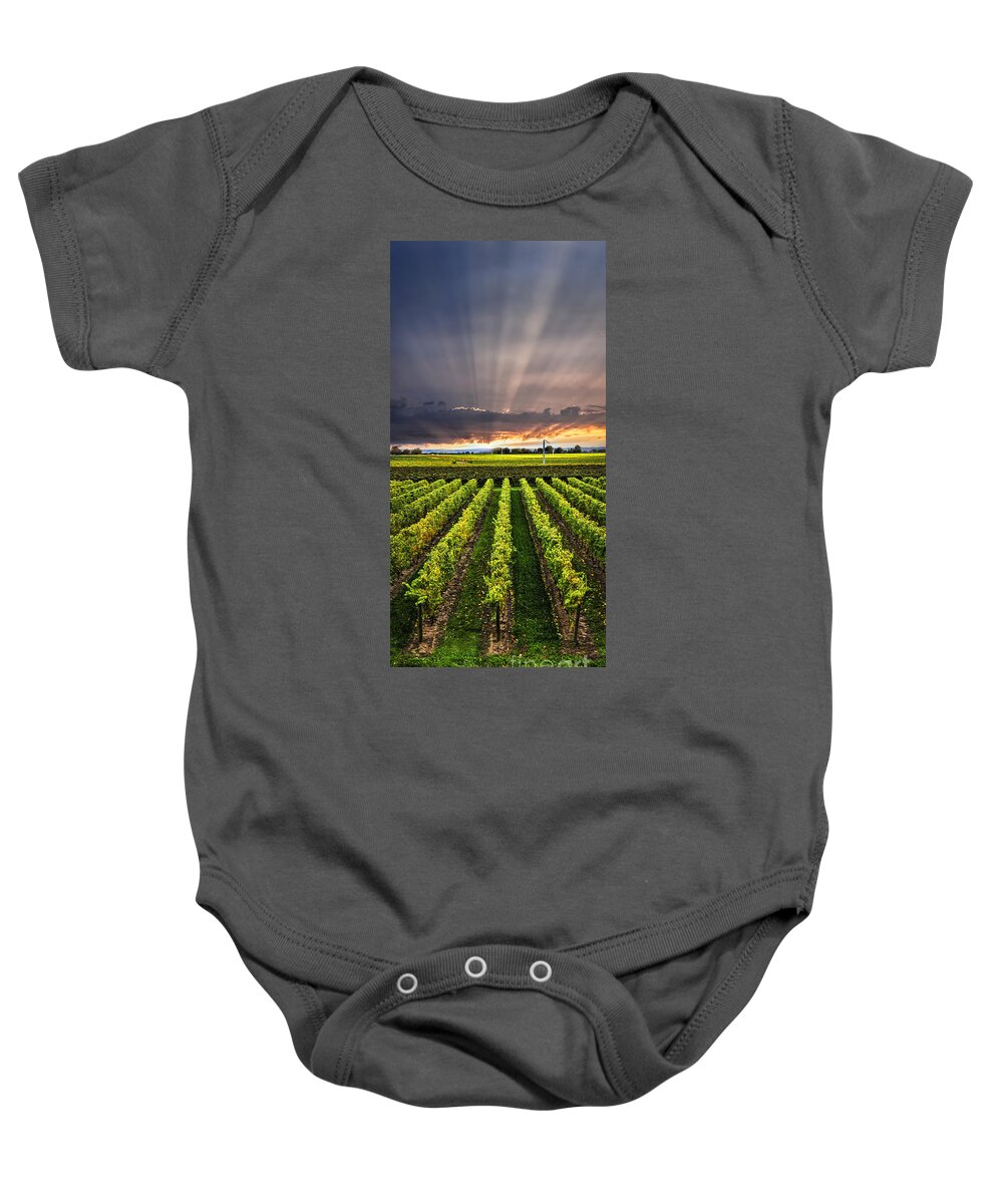 Vineyard Baby Onesie featuring the photograph Vineyard and sunset sky by Elena Elisseeva