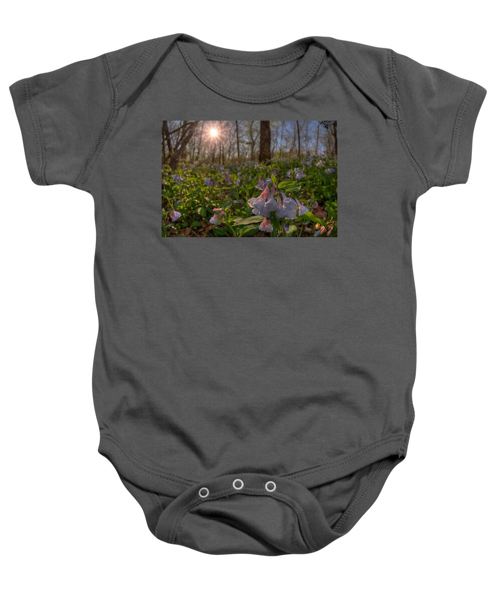 2012 Baby Onesie featuring the photograph Virgina Bluebells by Robert Charity