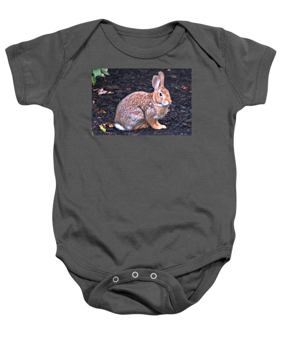 Bunny Baby Onesie featuring the photograph Wascal by Joe Faherty