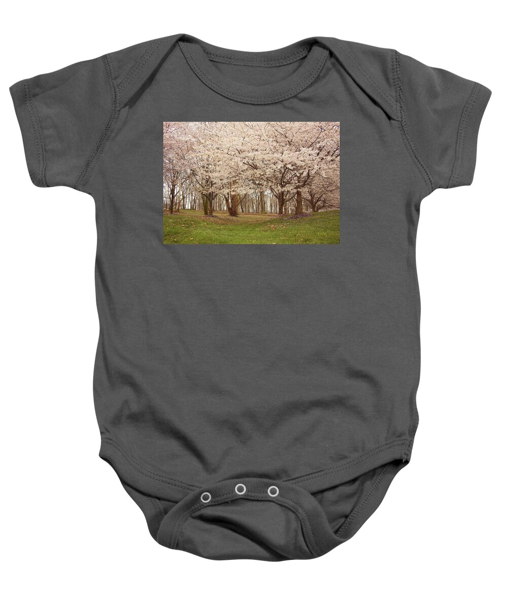 Flower Baby Onesie featuring the photograph Washington DC Cherry Blossoms by Kim Hojnacki