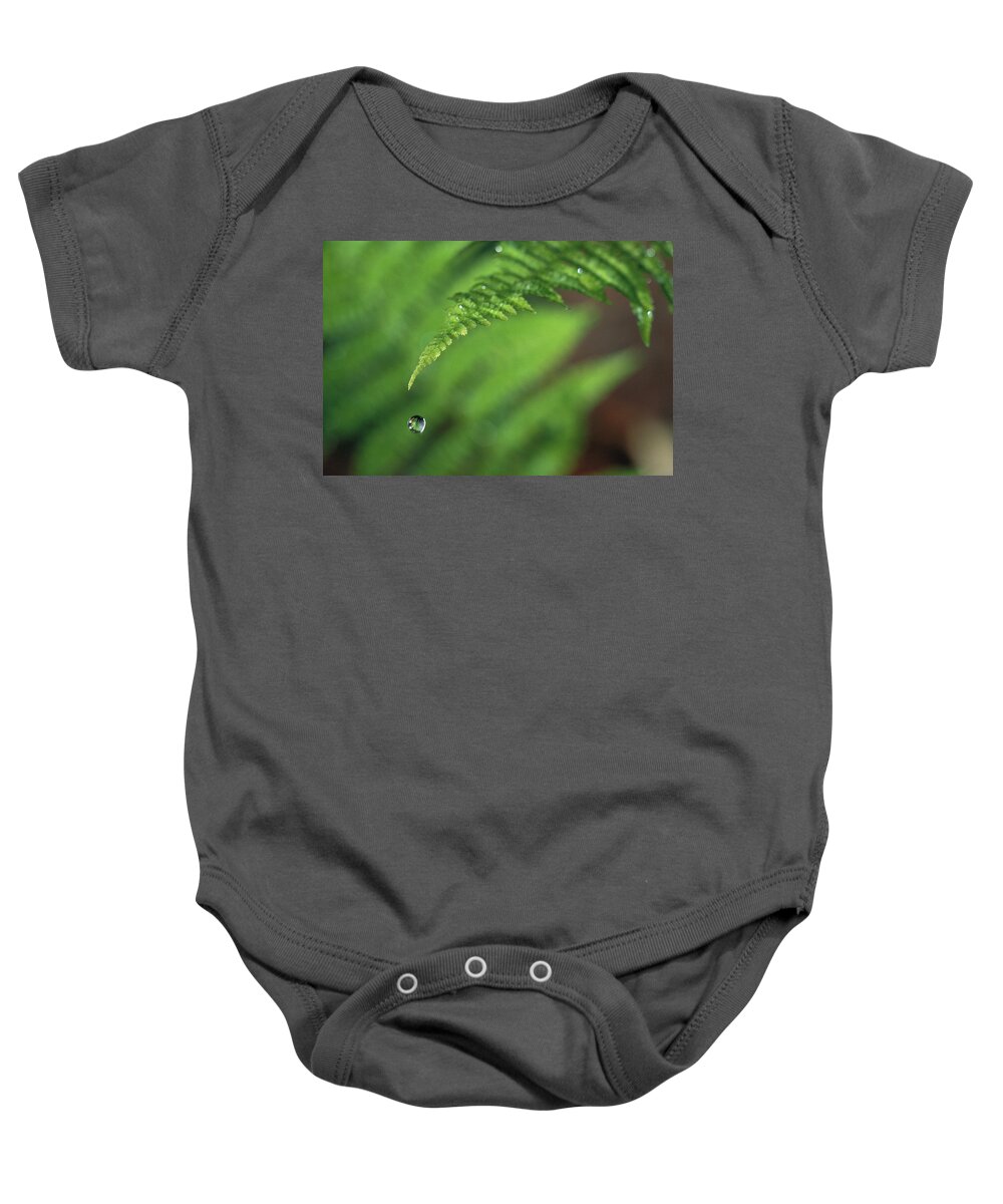 Close Up Baby Onesie featuring the photograph Water Droplet Falling From Fern Leaf by Michael Durham