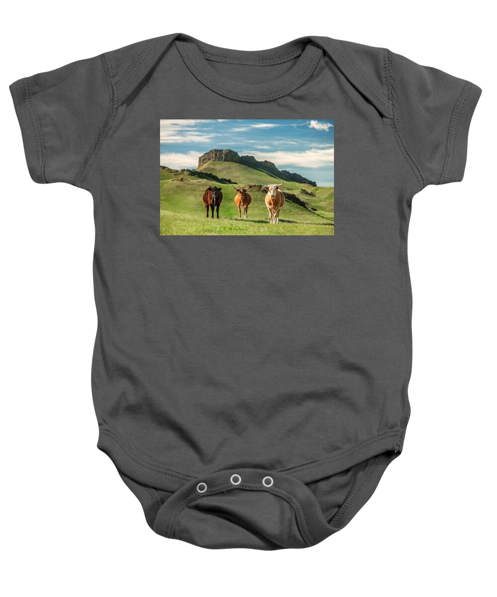 Cattle Baby Onesie featuring the photograph Western Longhorns by Todd Klassy