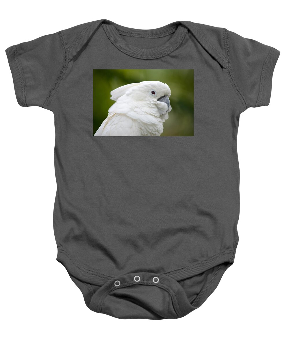 St. Augustine Baby Onesie featuring the photograph White Cockatoo Profile by Richard Bryce and Family