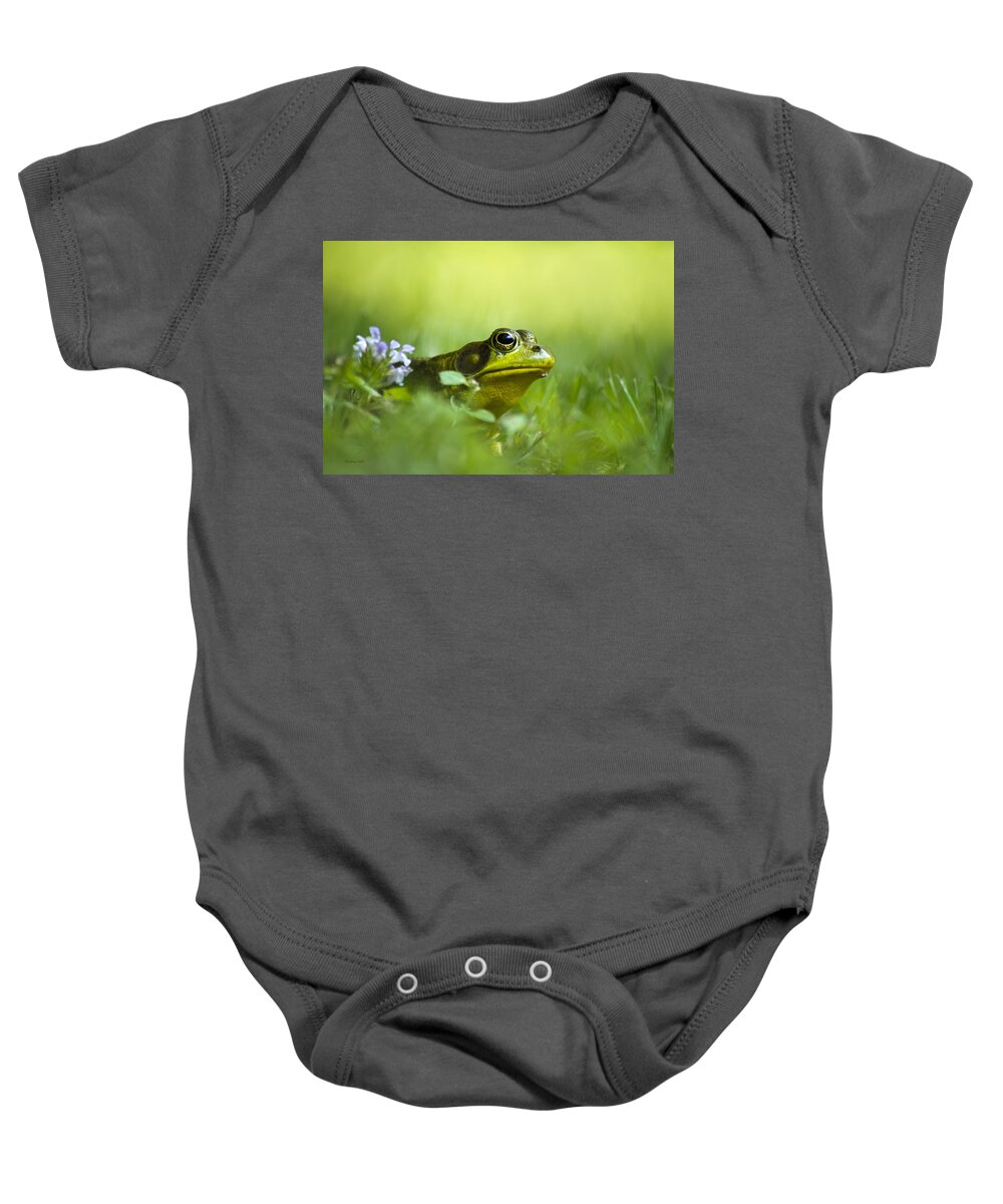 Frogs Baby Onesie featuring the photograph Wild Green Frog by Christina Rollo