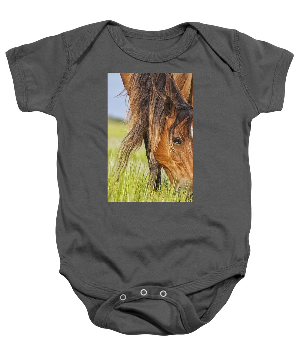 Wild Horse Baby Onesie featuring the photograph Wild Horse Grazing by Bob Decker