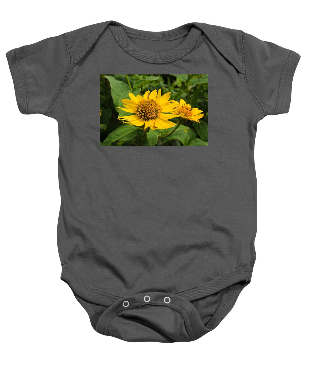 Appalachia Baby Onesie featuring the photograph Wild Sunflowers by Kenneth Murray
