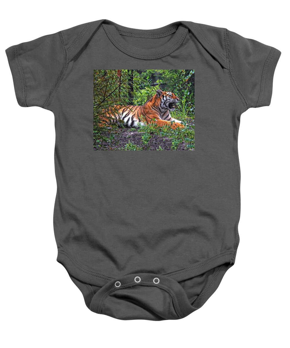 Tiger Baby Onesie featuring the photograph Wild Tiger by Mary Almond