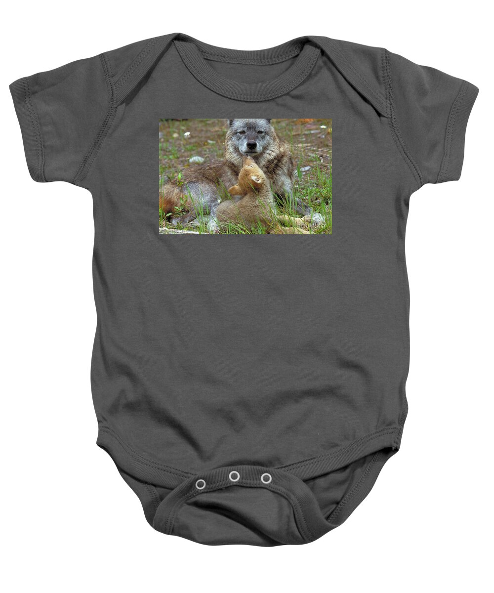 Wolf Baby Onesie featuring the photograph Wolf Mother And Pups by Art Wolfe