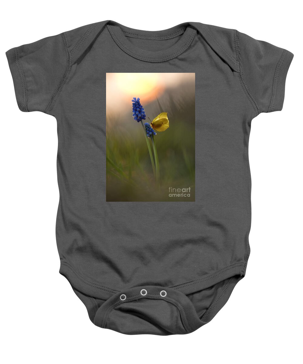 Yellow Baby Onesie featuring the photograph Yellow butterfly on grape hyacinths by Jaroslaw Blaminsky