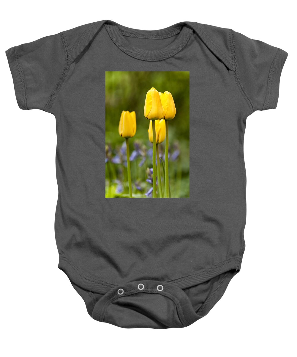 Yellow Baby Onesie featuring the photograph Yellow flowers by Mike Santis