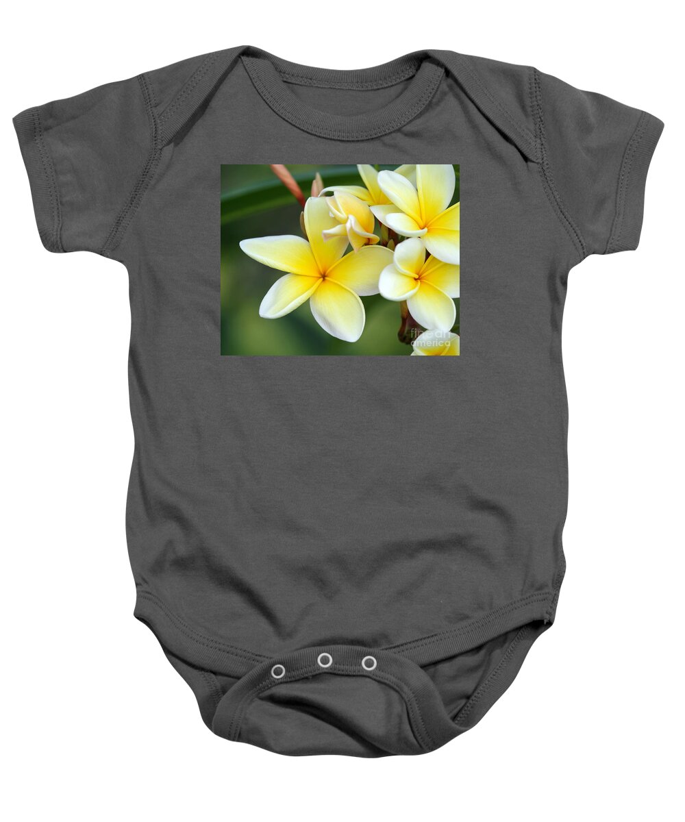 Macro Baby Onesie featuring the photograph Yellow Frangipani Flowers by Sabrina L Ryan