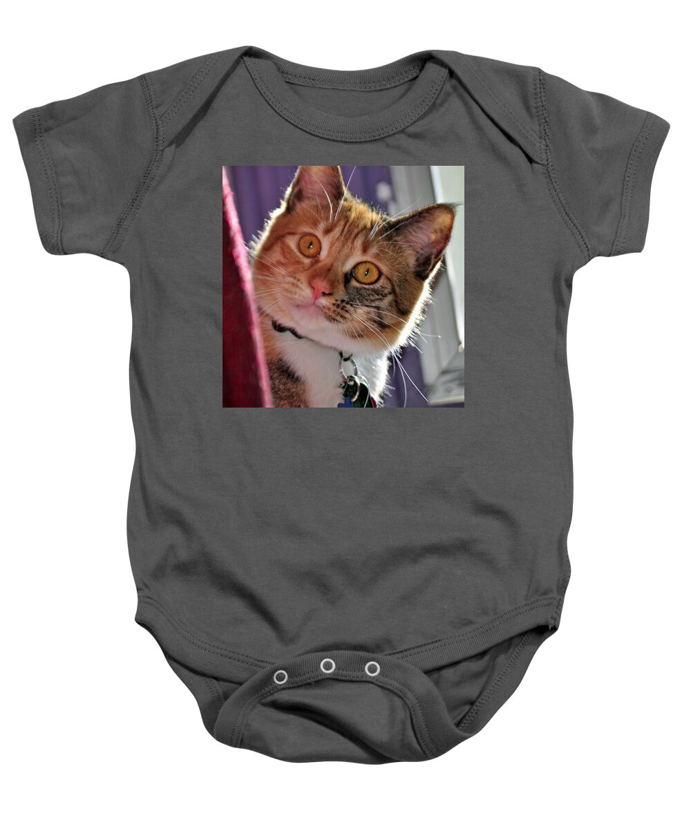 Feline Baby Onesie featuring the photograph You Talking to Me? by Tikvah's Hope