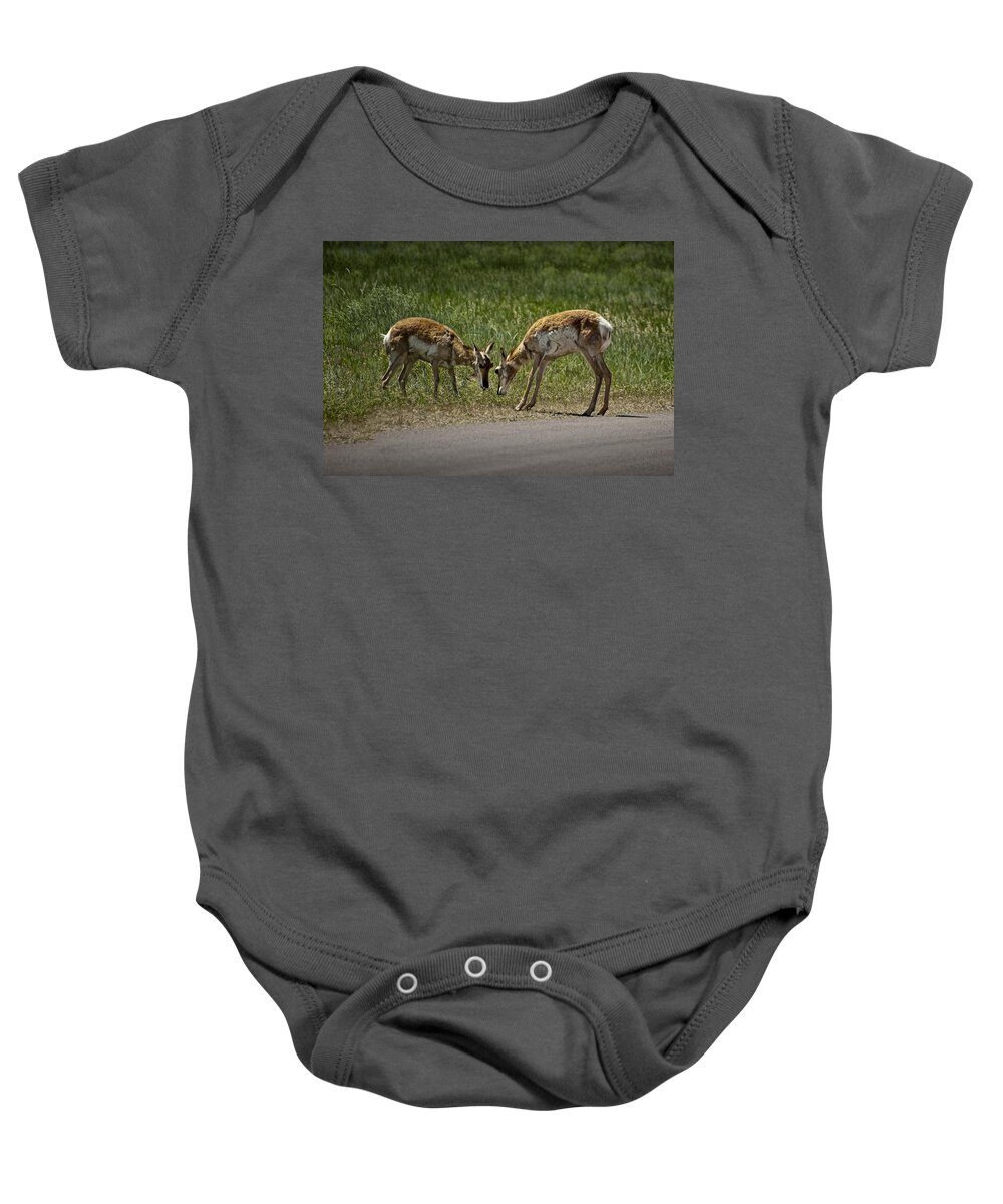 Antelope Baby Onesie featuring the photograph Young Pronghorn Antelopes Head to Head by Randall Nyhof