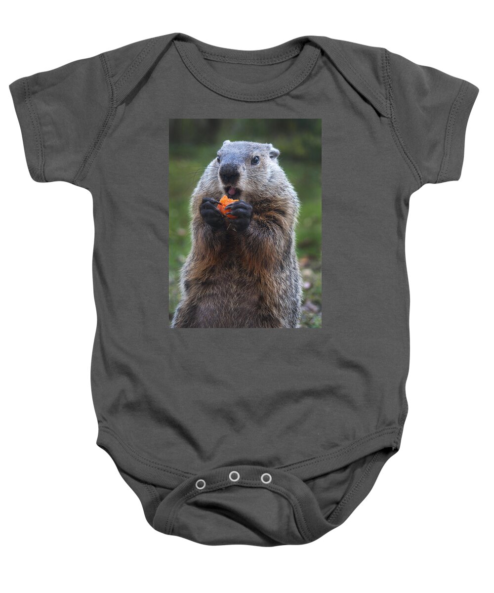 Groundhog Baby Onesie featuring the photograph Yum-Yum by Paul W Faust - Impressions of Light