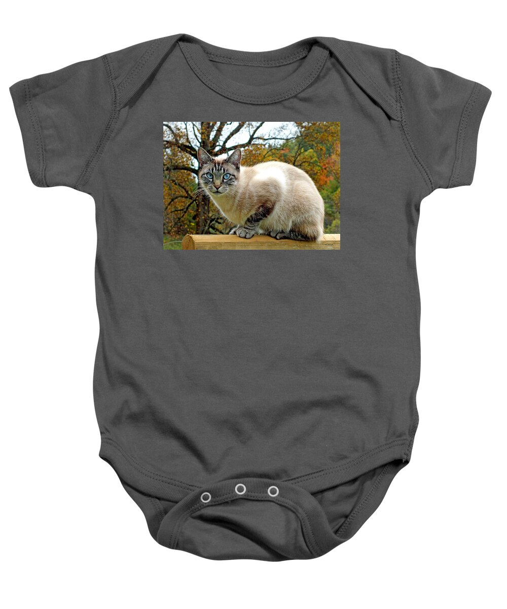 Duane Mccullough Baby Onesie featuring the photograph Zing the Cat in the Fall by Duane McCullough