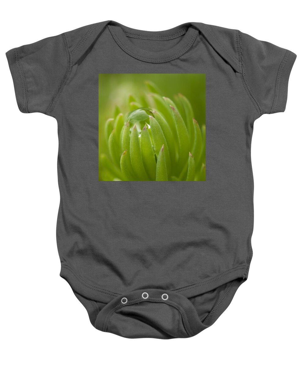 Green Baby Onesie featuring the photograph Caught #1 by Carrie Cranwill
