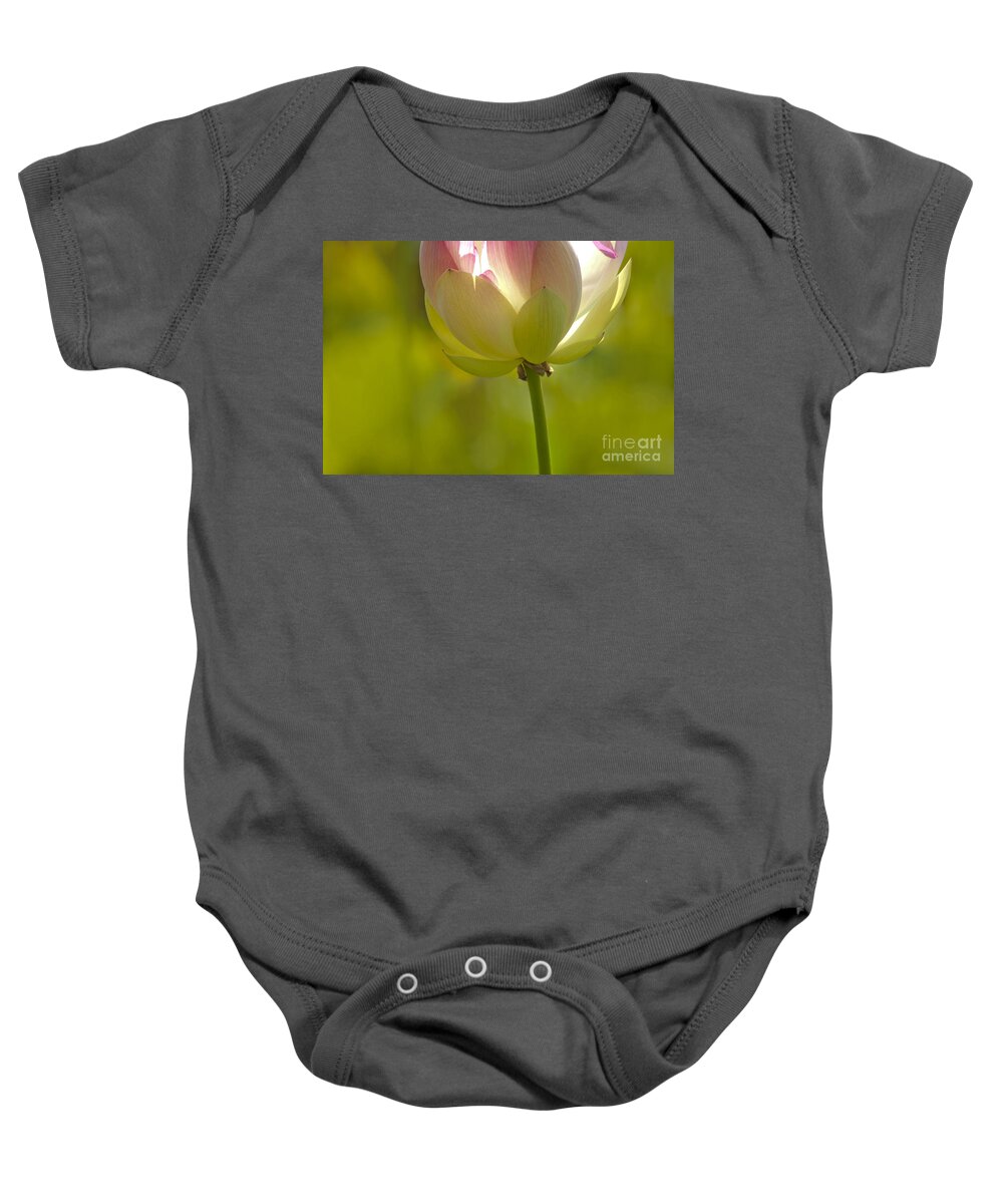 Nature Baby Onesie featuring the photograph Lotus Detail #1 by Heiko Koehrer-Wagner