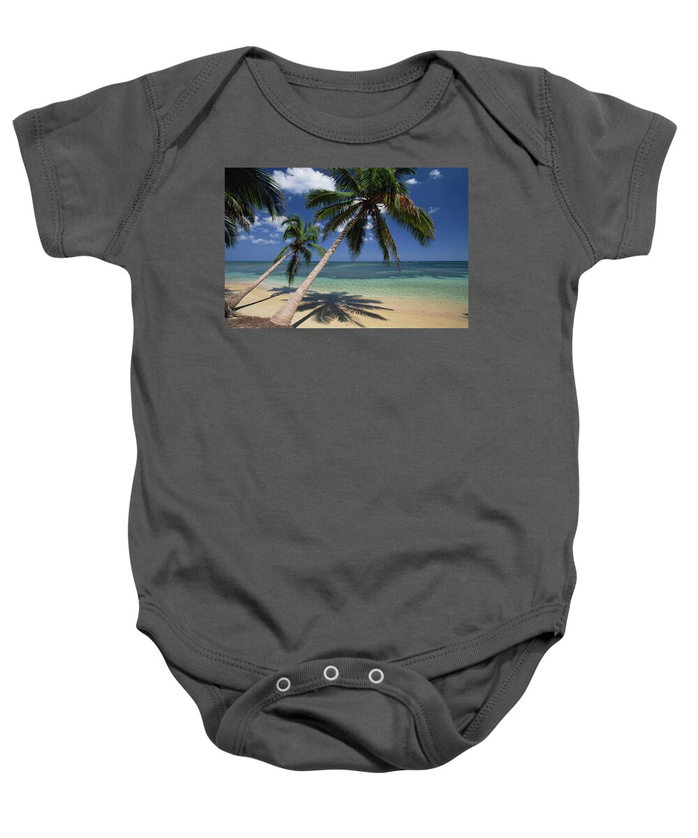 Mp Baby Onesie featuring the photograph Coconut Palm Cocos Nucifera Trees #2 by Konrad Wothe