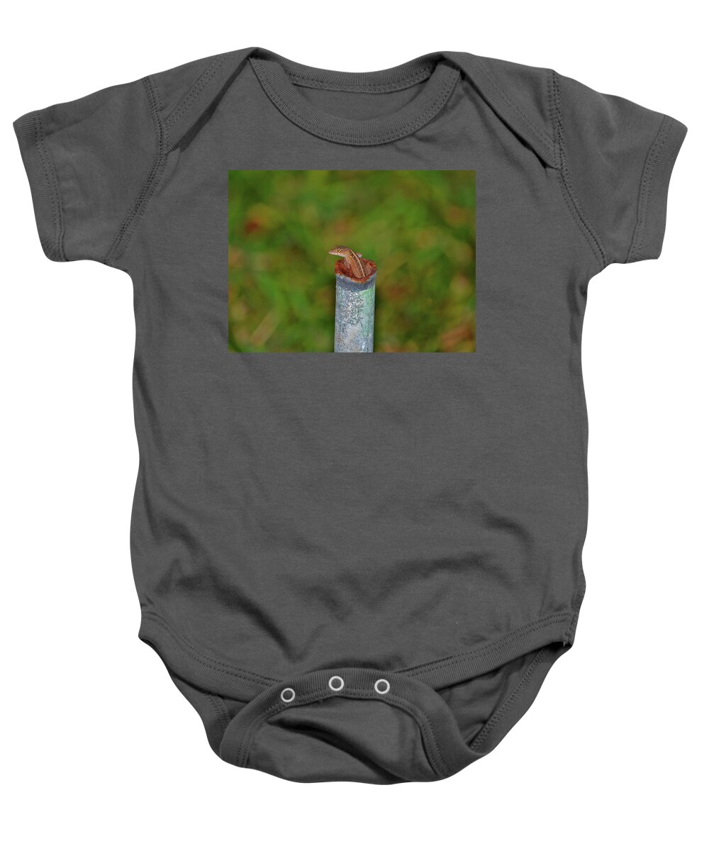 Lizard Baby Onesie featuring the photograph 39- Lizard Lookout by Joseph Keane