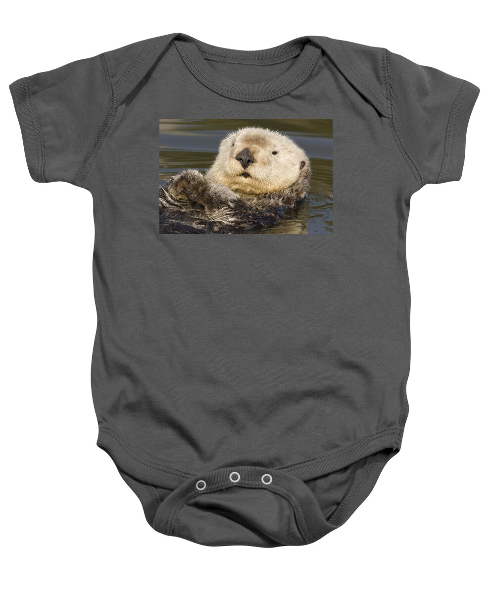 00429684 Baby Onesie featuring the photograph Sea Otter Elkhorn Slough Monterey Bay #6 by Sebastian Kennerknecht