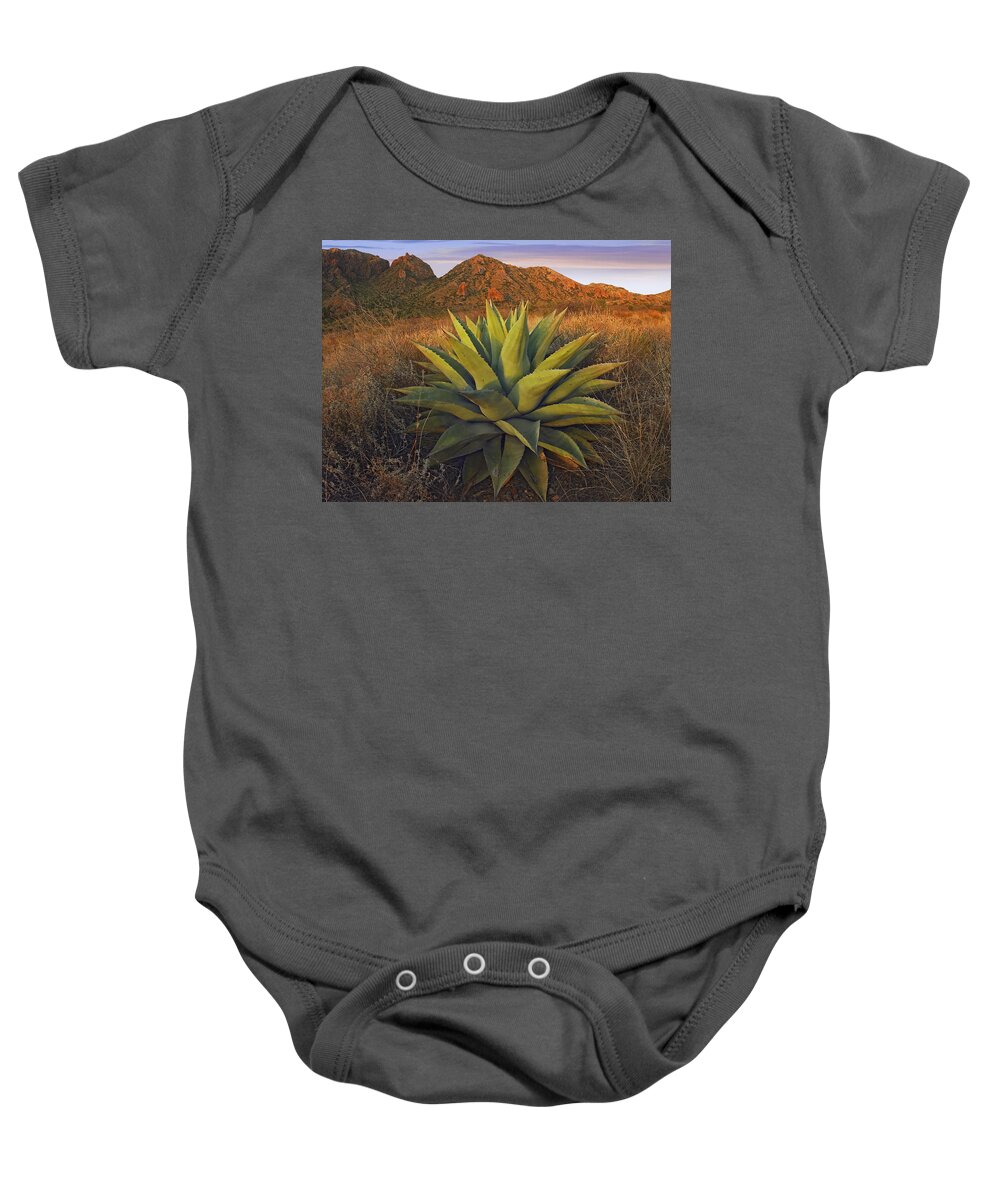 00175264 Baby Onesie featuring the photograph Agave Plants And Chisos Mountains Seen by Tim Fitzharris