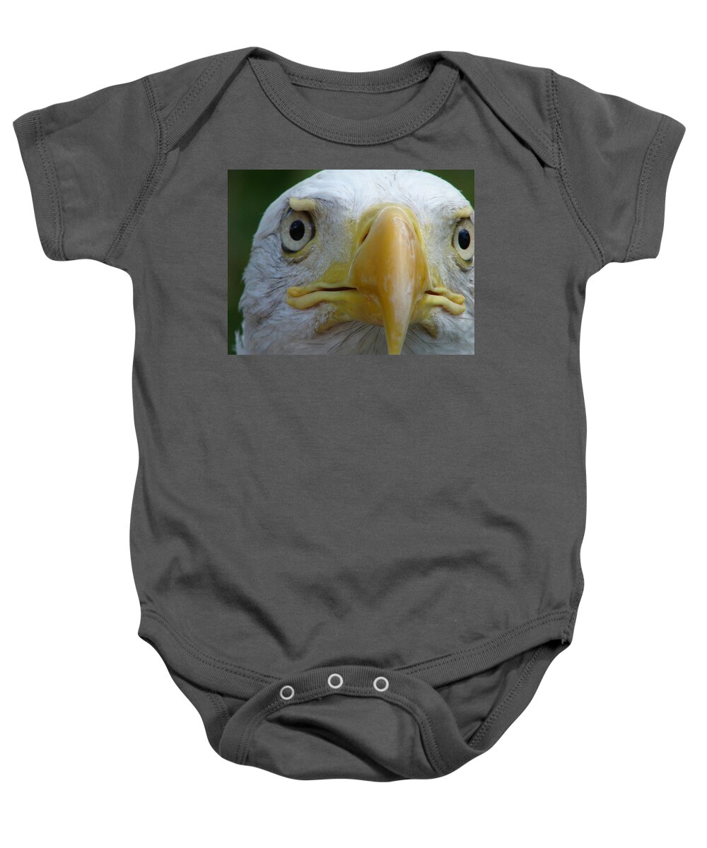 American Bald Eagle Baby Onesie featuring the photograph American Bald Eagle by Randy J Heath
