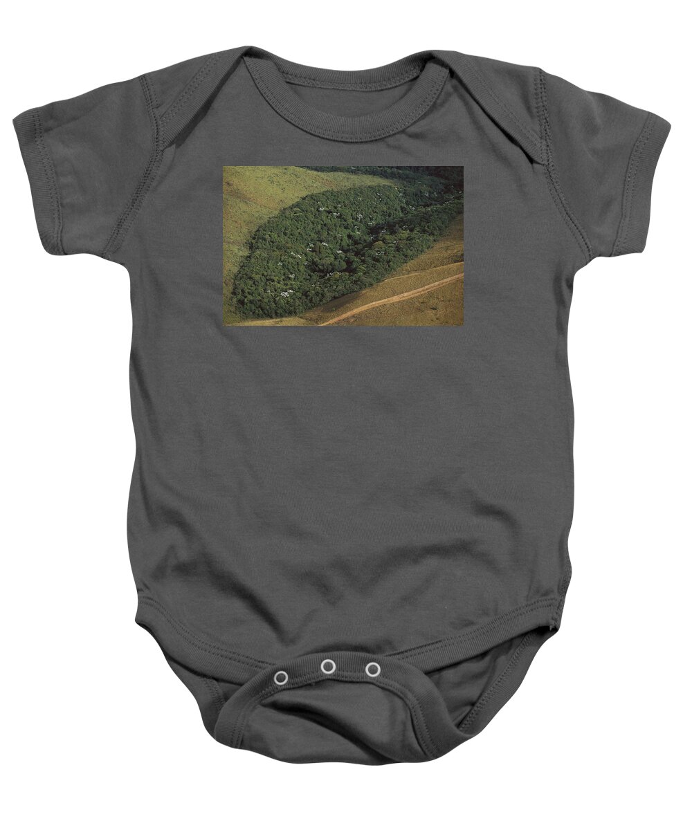 00750585 Baby Onesie featuring the photograph Atlantic Rainforest Remnant Brazil by Mark Moffett