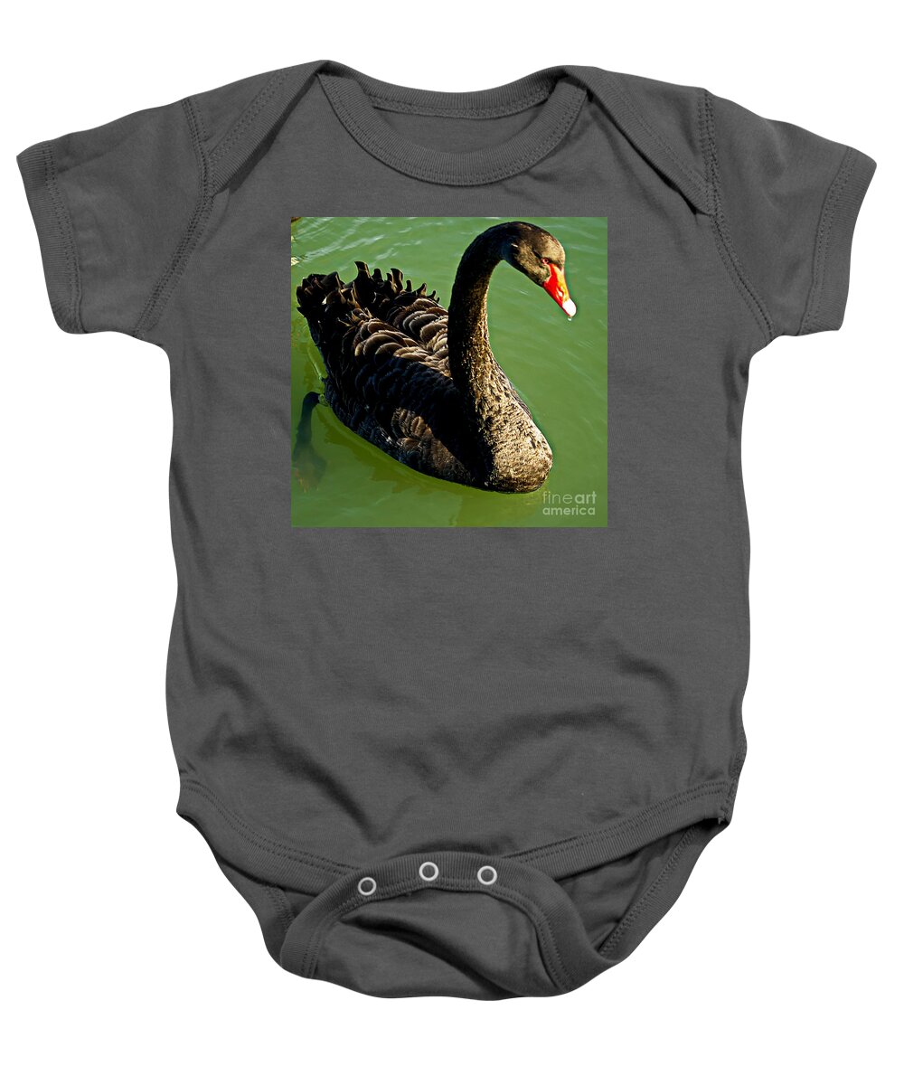 Blair Baby Onesie featuring the photograph Australian Black Swan by Blair Stuart