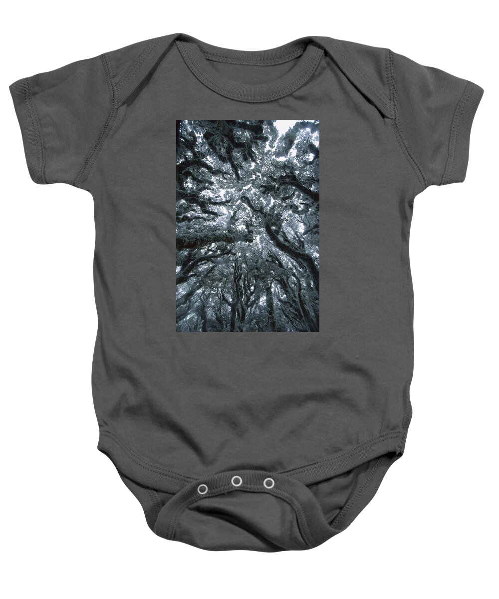 Hhh Baby Onesie featuring the photograph Autumn Snow On Beech Trees, Routeburn by Colin Monteath