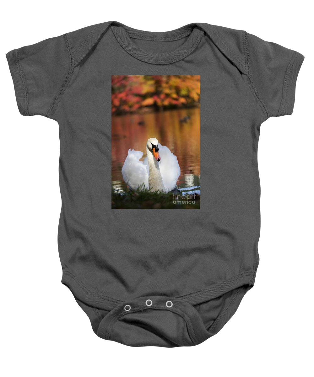 Autumn Baby Onesie featuring the photograph Autumn Swan by Leslie Leda