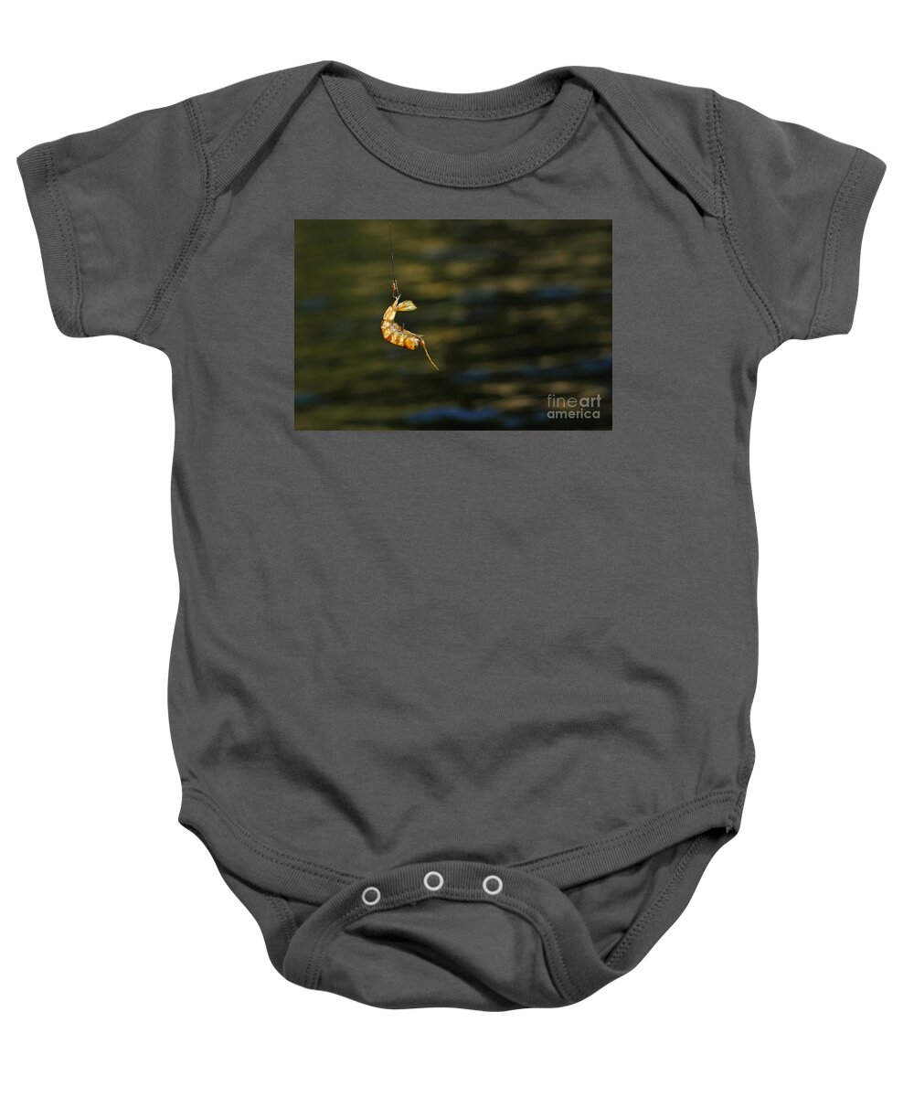 Photography Baby Onesie featuring the photograph Baited... by Kaye Menner