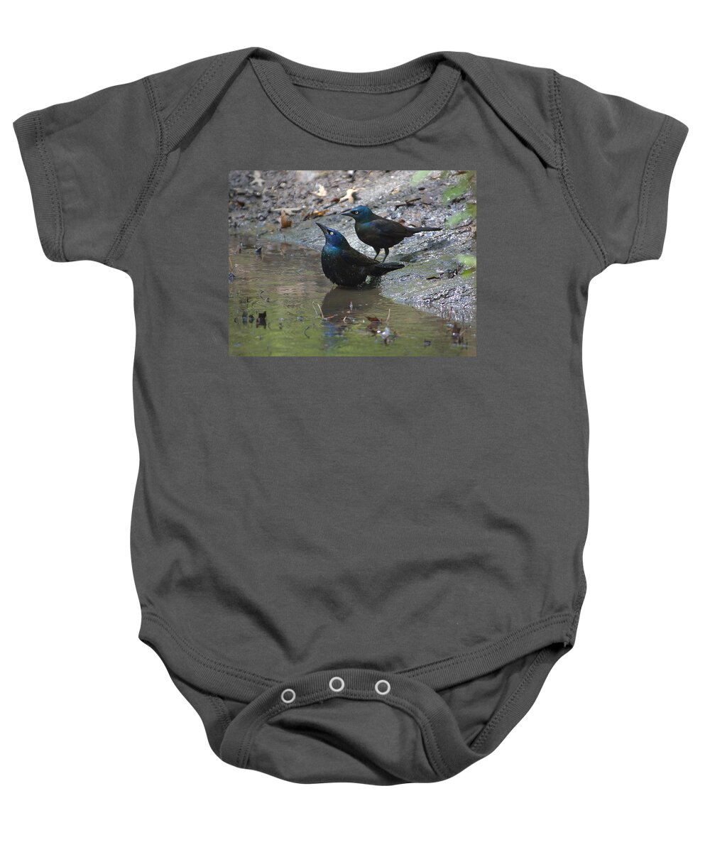 Black Birds Baby Onesie featuring the photograph Bathing Partners by Sarah McKoy