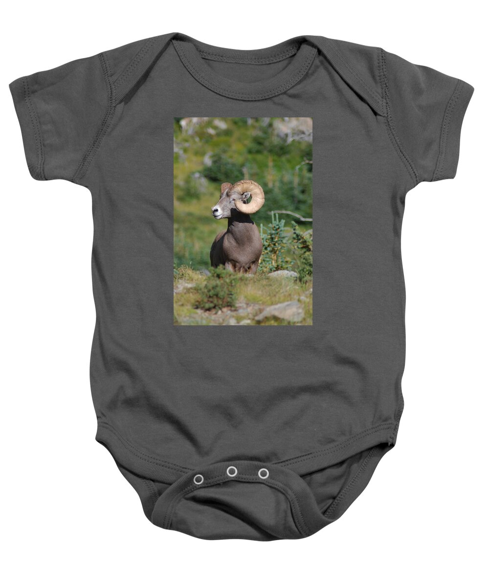 Big Horn Baby Onesie featuring the photograph Big Horn At Goose Lake by Ron Weathers