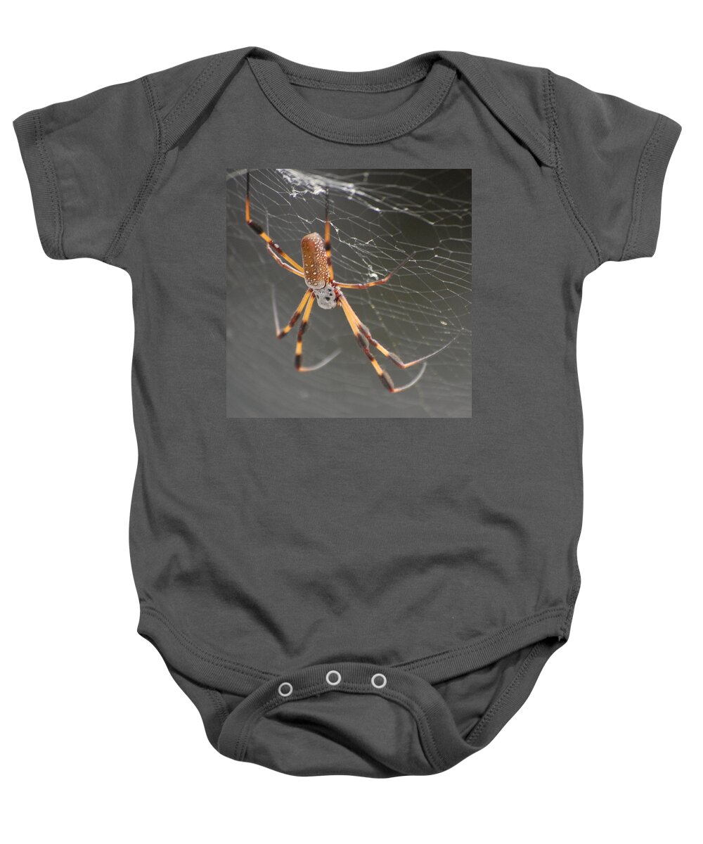 Insects Baby Onesie featuring the digital art Big Spider by David Lane