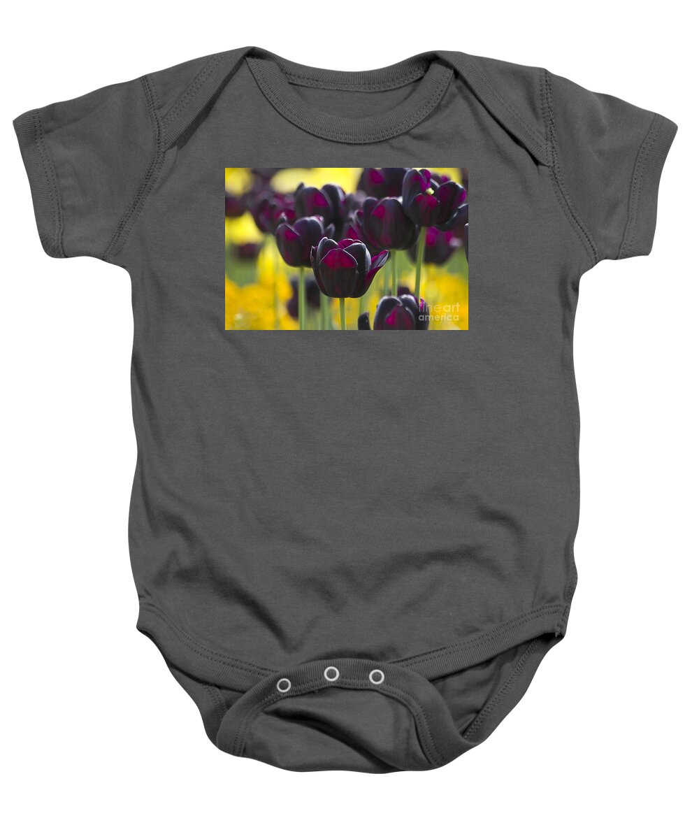 Tulip Baby Onesie featuring the photograph Black Tulips in Yellow by Heiko Koehrer-Wagner