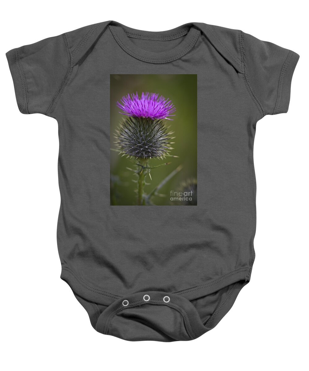 Clare Bambers Baby Onesie featuring the photograph Blooming Thistle by Clare Bambers
