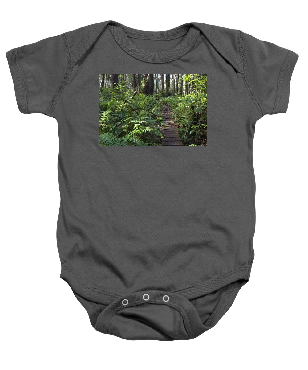 Mp Baby Onesie featuring the photograph Boardwalk Winds Through The Forest by Konrad Wothe