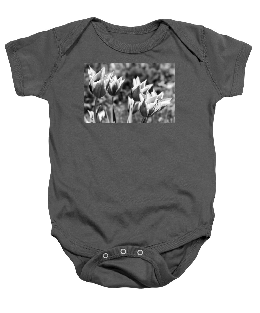 Botanical Baby Onesie featuring the photograph Burgundy Yellow Tulips in Black and White by James BO Insogna
