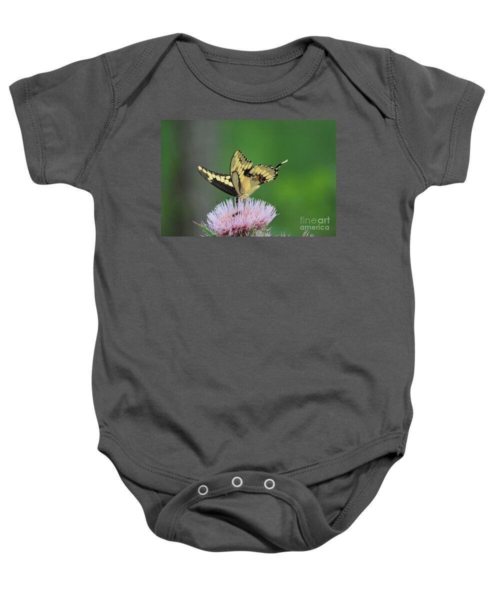 Butterfly Baby Onesie featuring the photograph Butterflies Are Free by Kathy White