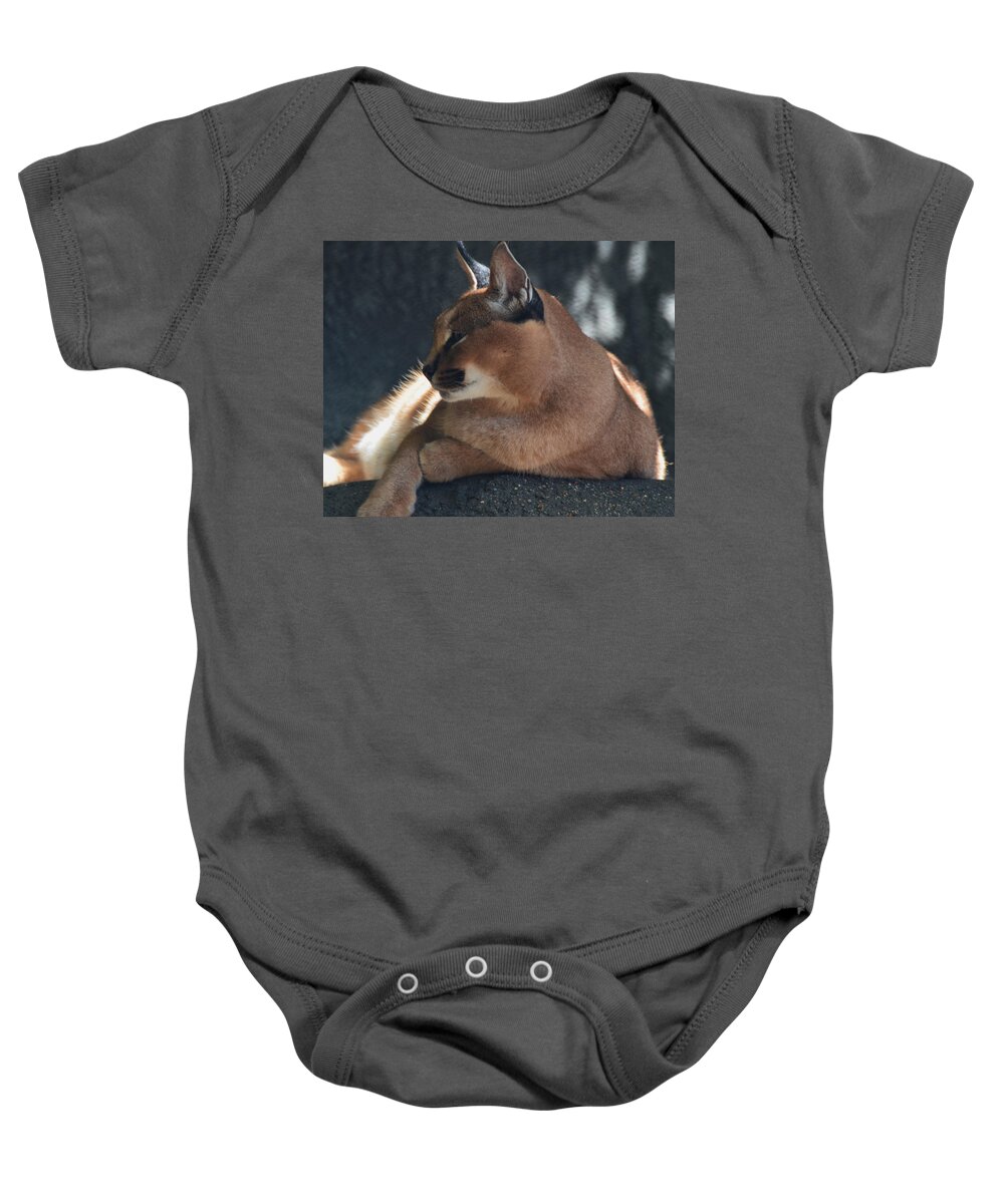Caracal Baby Onesie featuring the photograph Caracal by Maggy Marsh