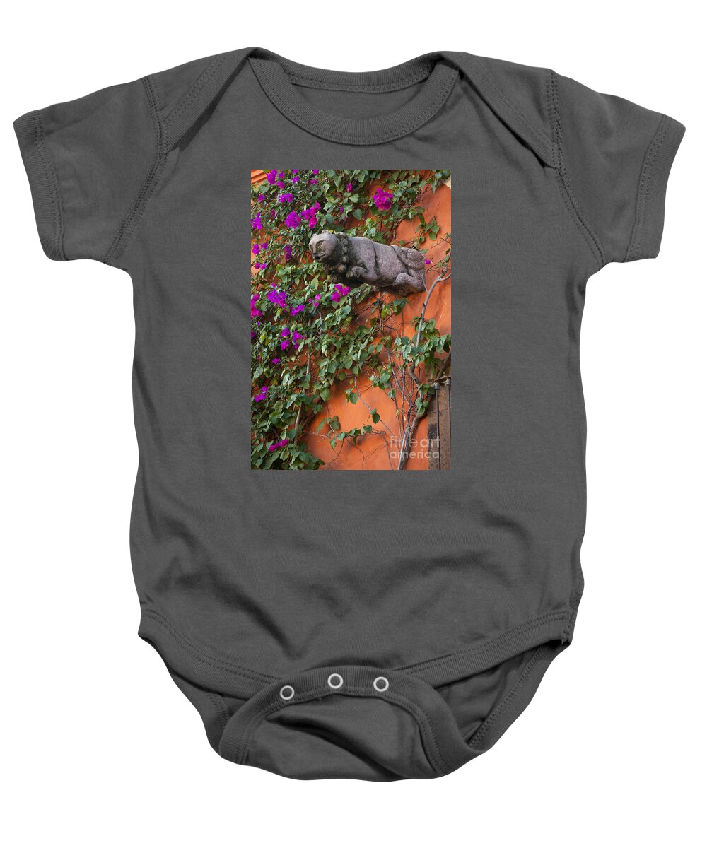Vertical Baby Onesie featuring the photograph Cat on a Wall by Craig Lovell