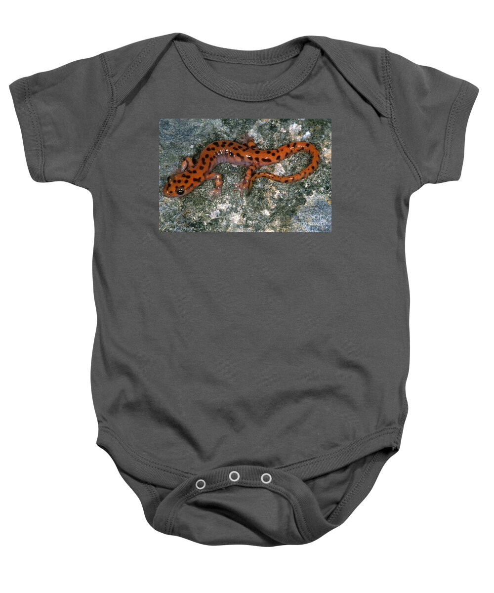 Cave Salamander Baby Onesie featuring the photograph Cave Salamander by Dante Fenolio