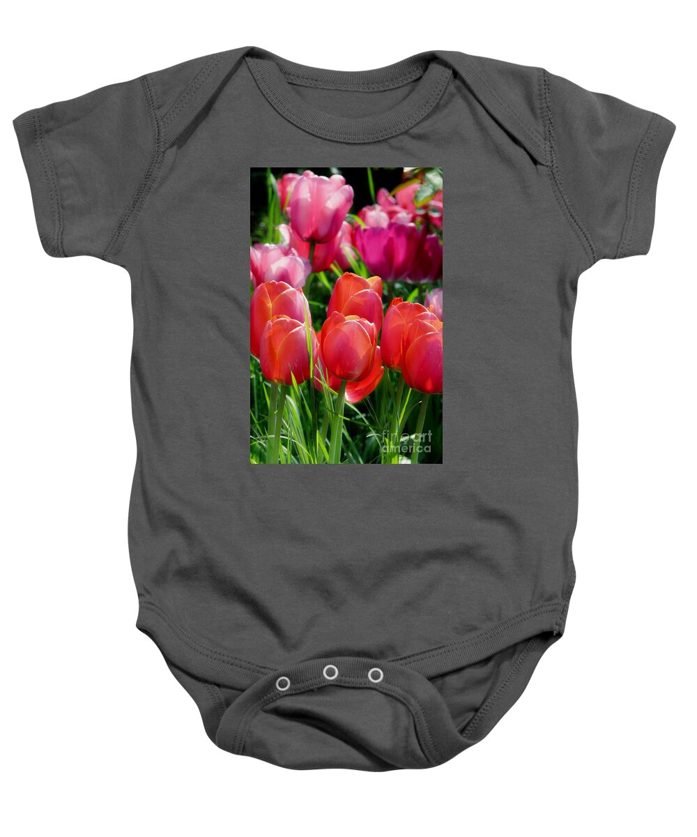 Tulips Baby Onesie featuring the photograph Celebration by Rory Siegel