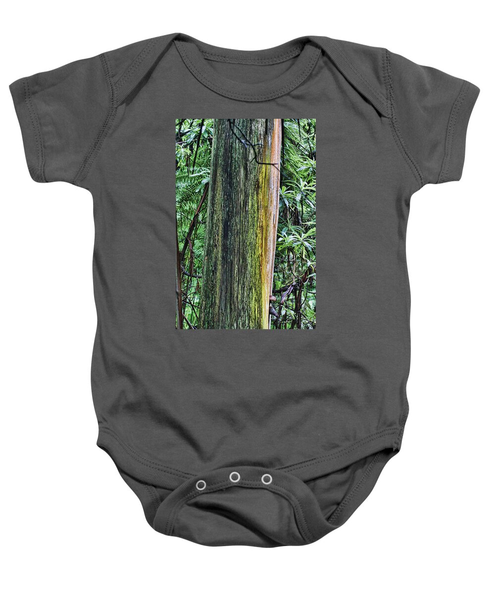 Color Baby Onesie featuring the photograph Color of the Trees by Douglas Barnard