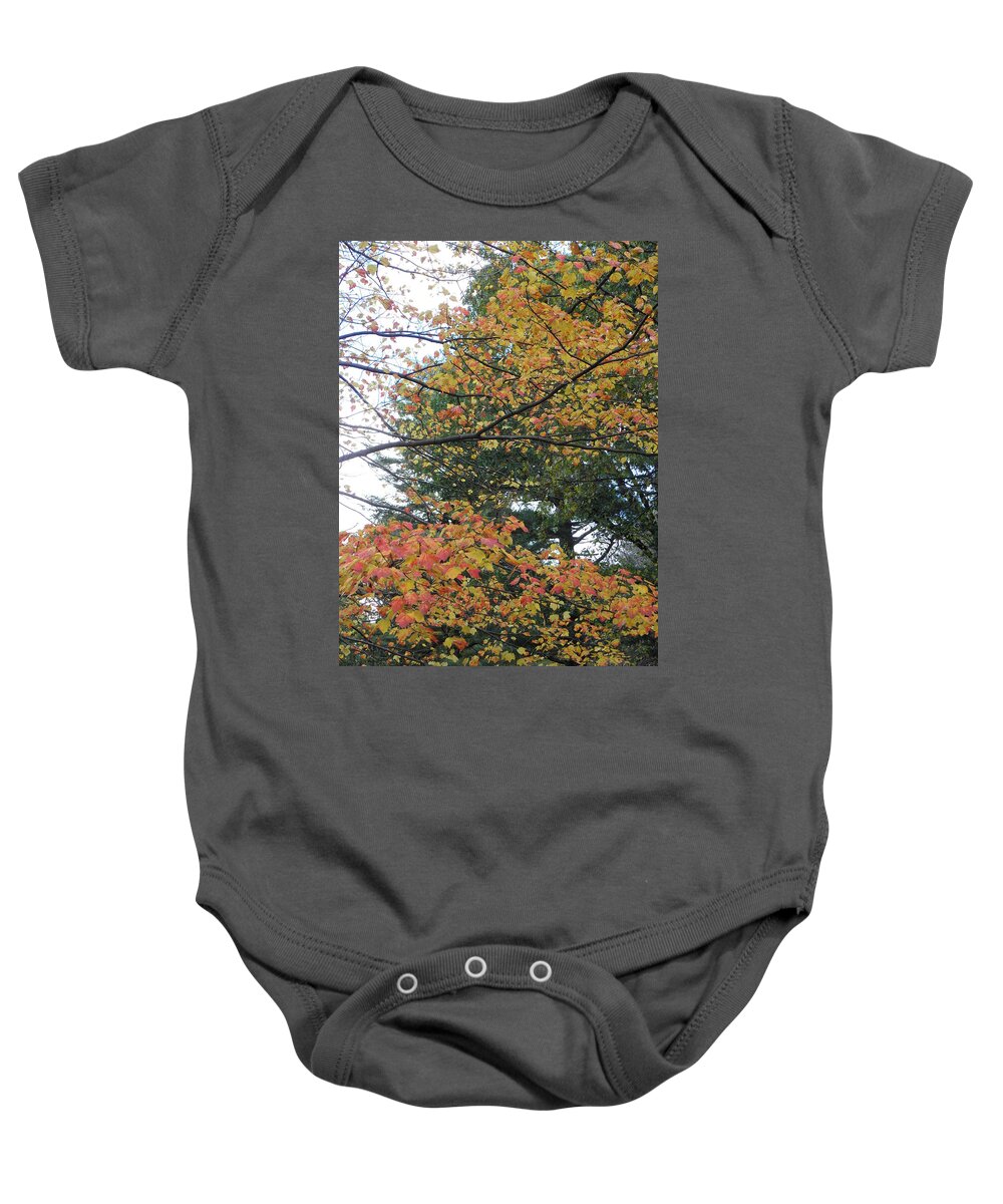 Color Baby Onesie featuring the photograph Color Splash by Kim Galluzzo