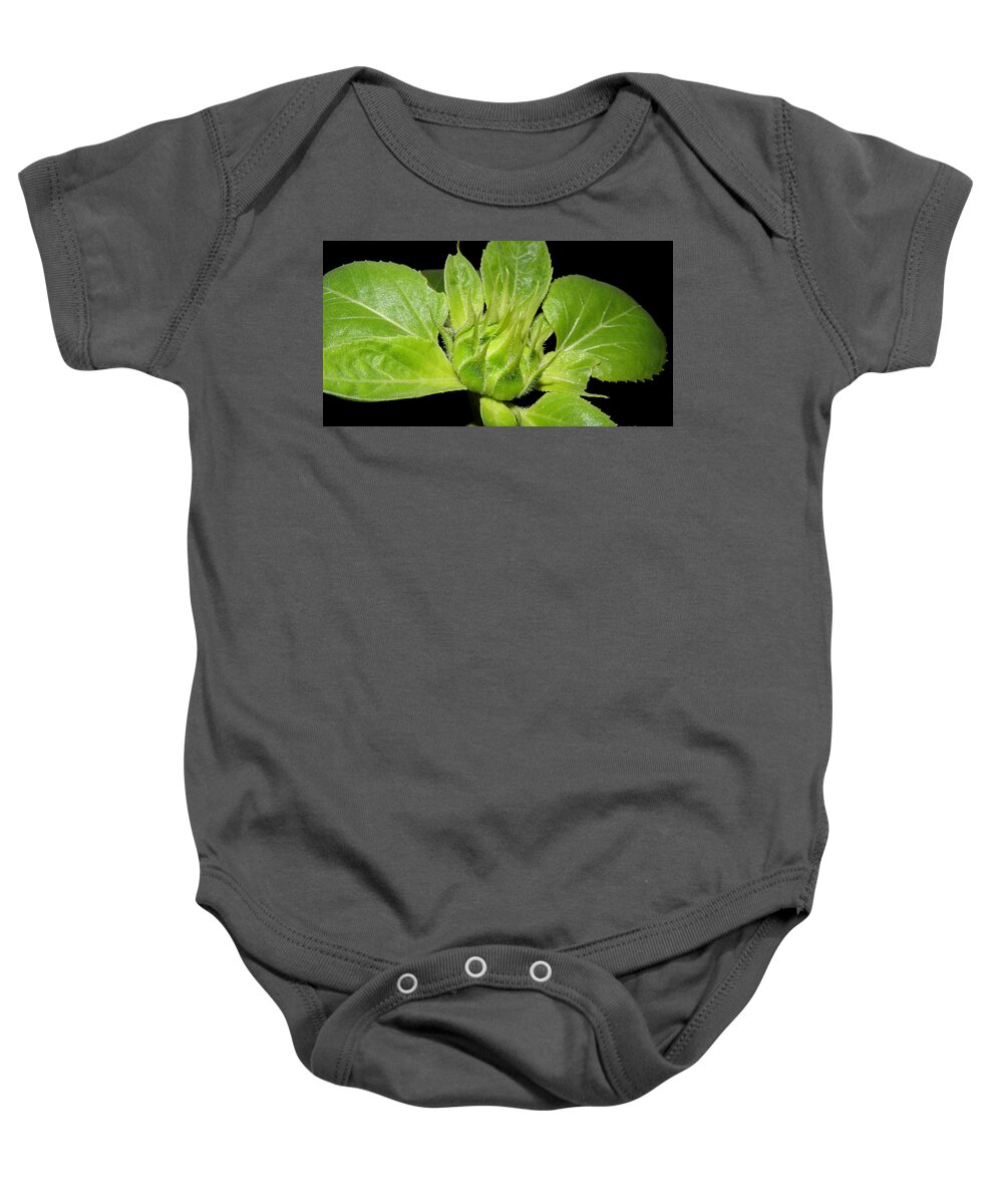 Sunflower Baby Onesie featuring the photograph Coming Into Bloom by Kim Galluzzo