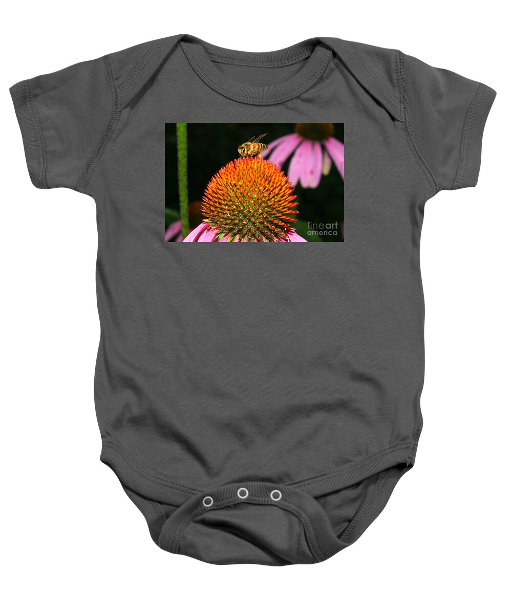Coneflower Baby Onesie featuring the photograph Coneflower Bee by Daniel Knighton