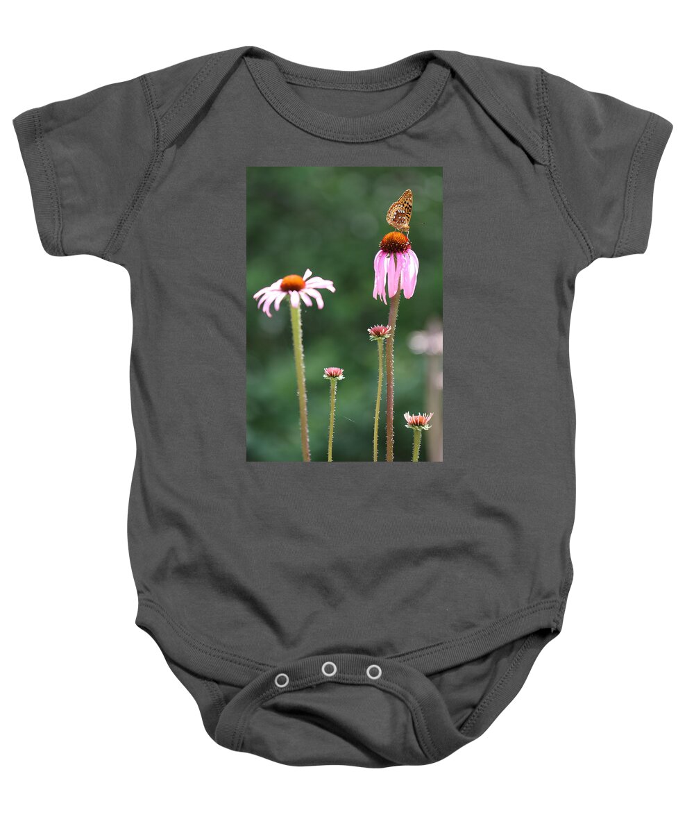 Butterfly Baby Onesie featuring the photograph Coneflowers And Butterfly by Daniel Reed